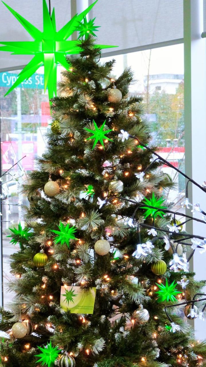 hunter green christmas tree decor Green Christmas Tree decoration with a Herrnhut Star Chain and a 70cm