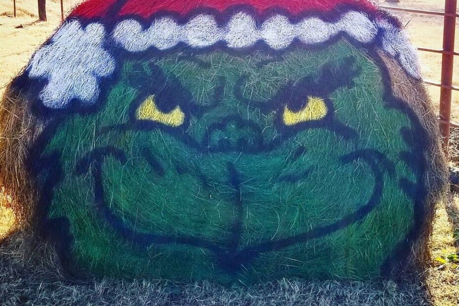 hay bale christmas decor Painted Hay Bale, Christmas decoration, The Grinch Hay Bale Christmas