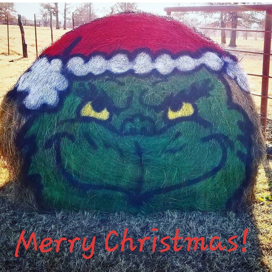 hay bale christmas decor Painted Hay Bale, Christmas decoration, The Grinch Hay Bale Christmas