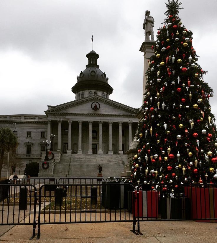 christmas decor of south carolina South Carolina Christmas Tree. itsbeginningtolookalotlikeChristmas in