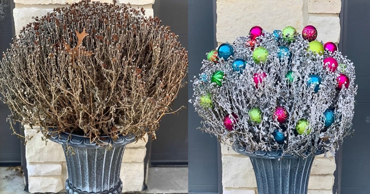 dead mums christmas decor How to Turn Mums into Christmas Decorations in 2024