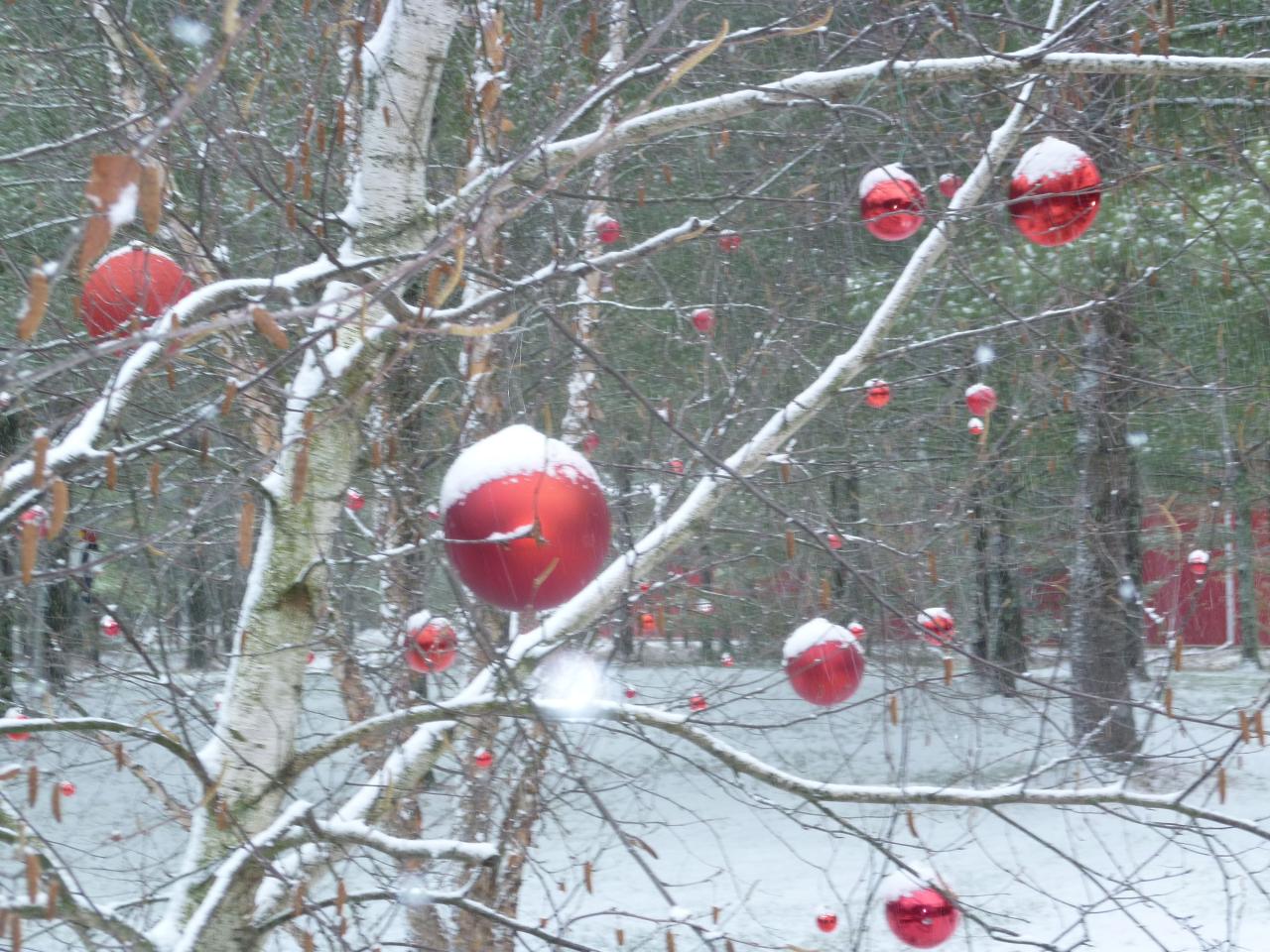 birch tree decor ideas for christmas ornaments in the birch trees Christmas, Birch tree, Ornaments