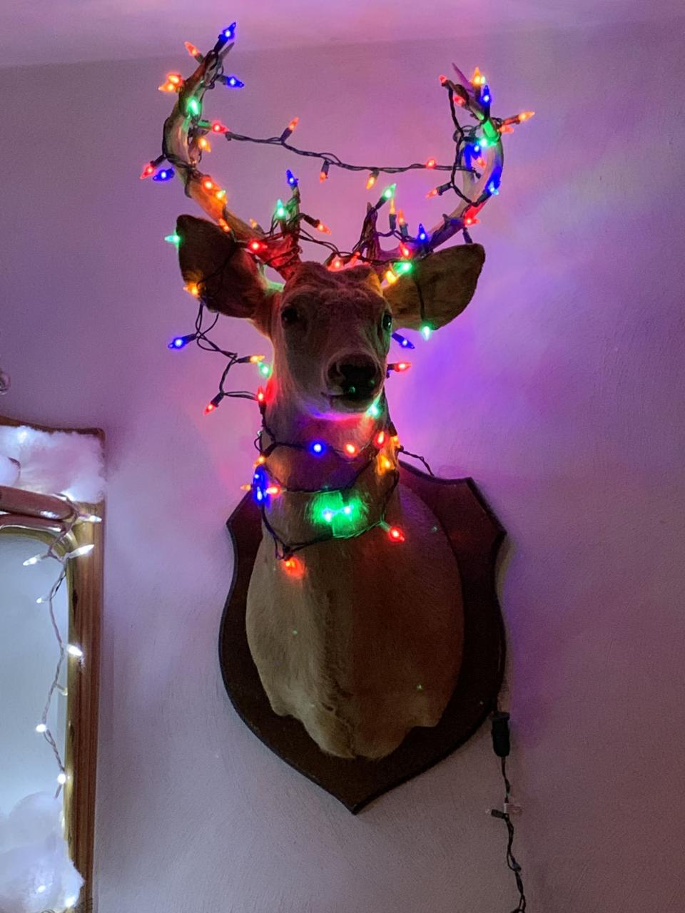 deer mount christmas decor Christmas Deer Head Decor MultiColored LED Lights! Deer head decor