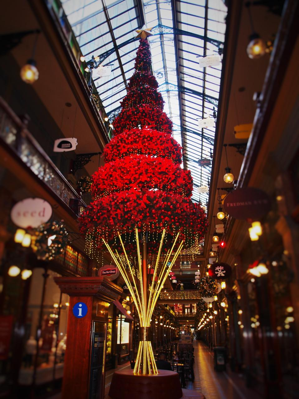 christmas decorations outdoor australia Victoria Gallery Christmas Decorations Sydney Woody World Packer