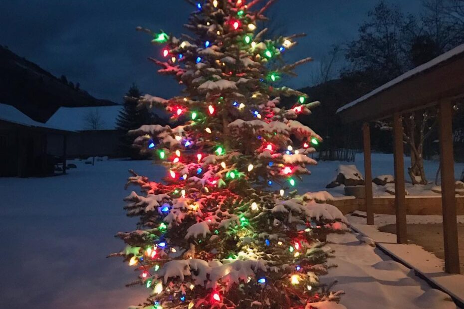 christmas tree decor outside 40+ Incredible Outdoor Christmas tree Decorations for the Creative Souls