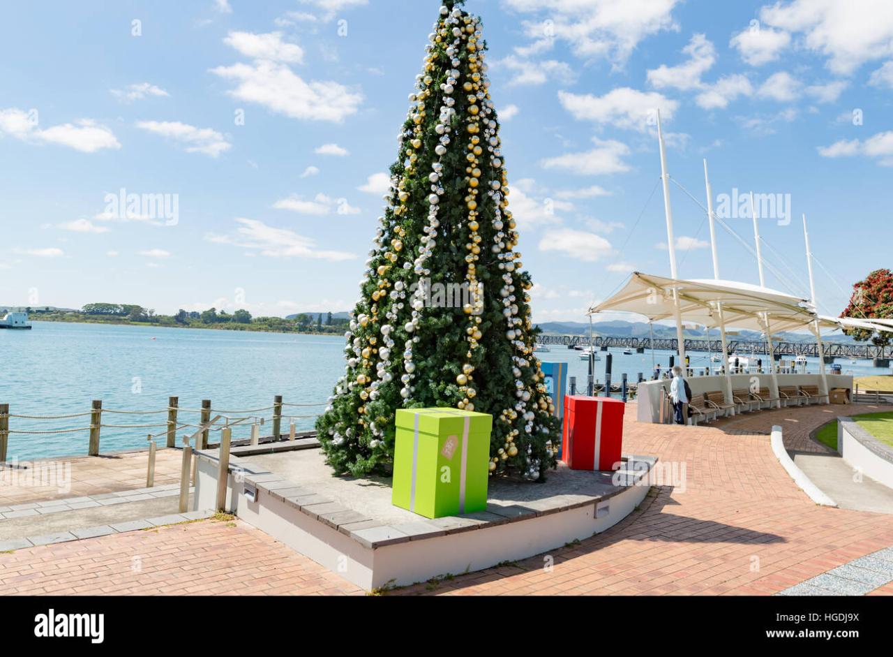 christmas decor new zealand Christmas Decorations at Tauranga, New Zealand Stock Photo Alamy