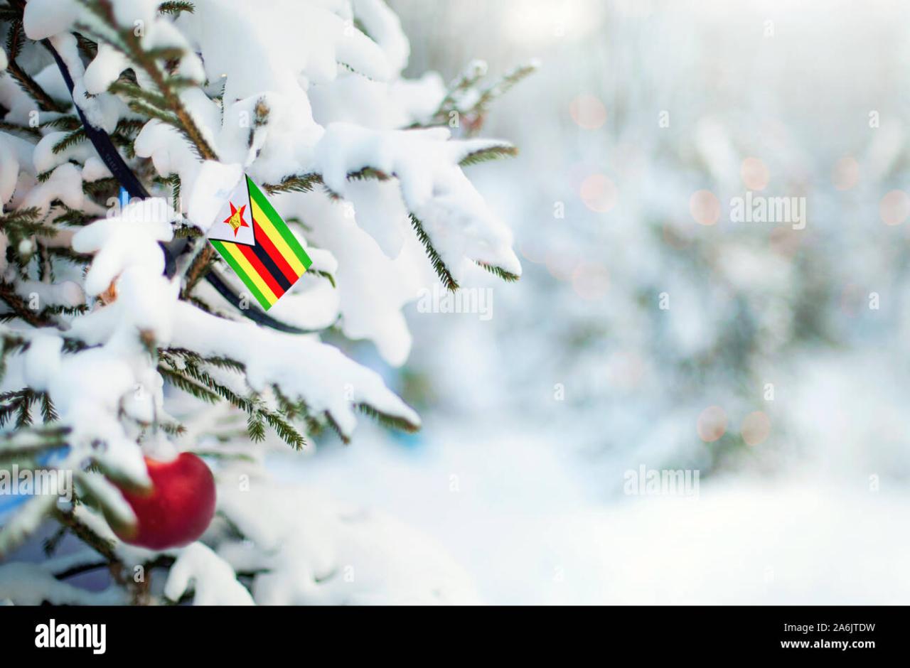 christmas decorations in zimbabwe Christmas Zimbabwe. Xmas tree covered with snow, decorations and a flag