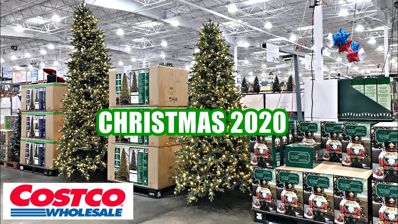 costco christmas decor 2020 COSTCO CHRISTMAS DECOR 2020 Shop with me! CHRISTMAS TREES WREATHS